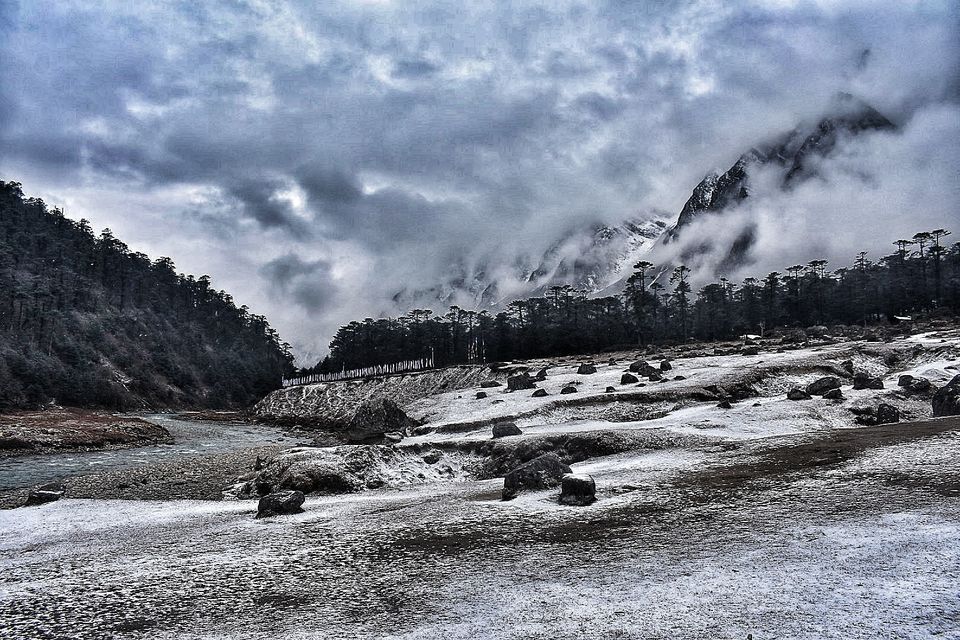Photo of Yumthang Valley Yumthang, Sikkim, India by Somya Rakshit