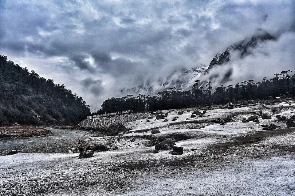 Photo of Yumthang Valley Yumthang, Sikkim, India by Somya Rakshit