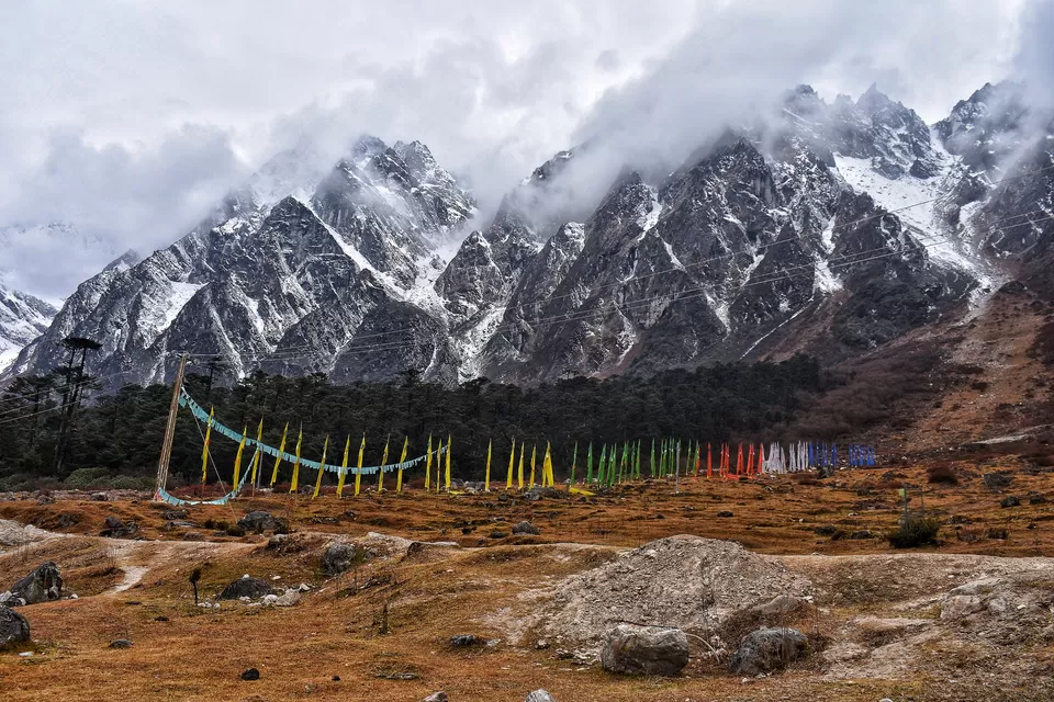 Photo of Yumthang Valley Yumthang, Sikkim, India by Somya Rakshit