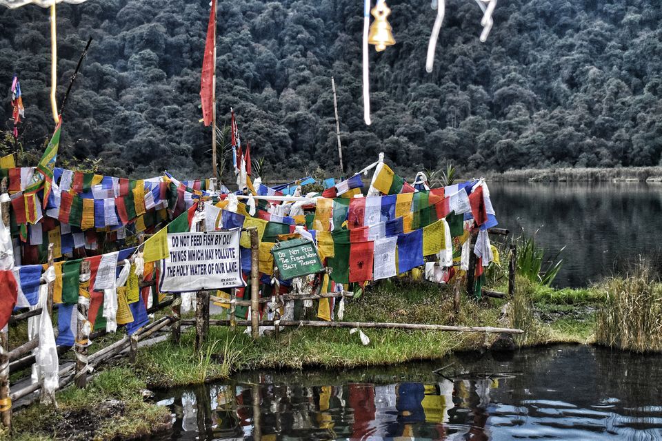 Photo of Travelling Solo in Sikkim for 7 days - Part II (West-South Sikkim) by Somya Rakshit