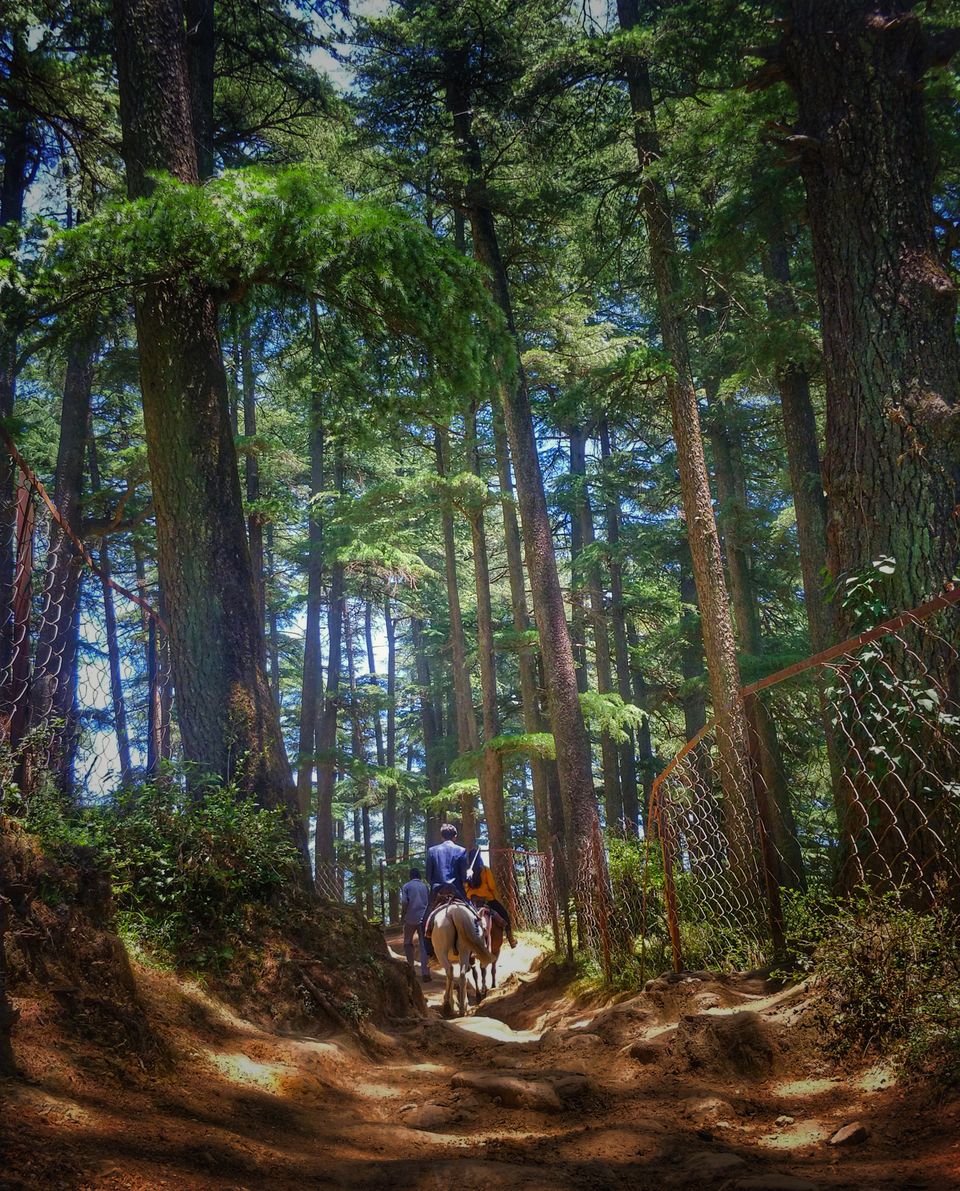 Photo of Naldehra, Himachal Pradesh, India by Somya Rakshit