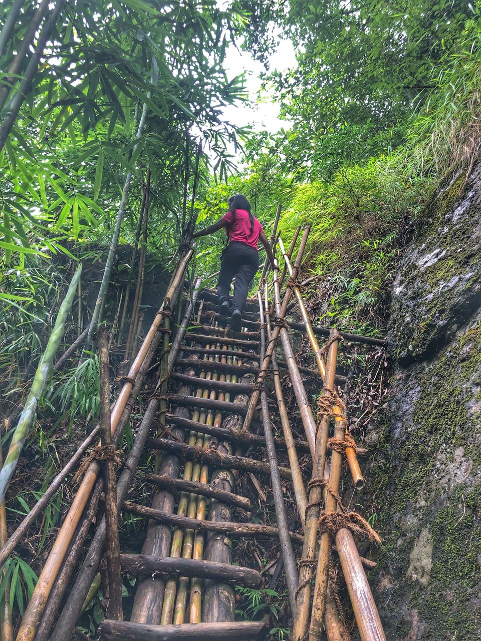 Photo of THE DEADLIEST TREK IN MEGHALAYA (Meghalaya Diary - Part 2) by Somya Rakshit
