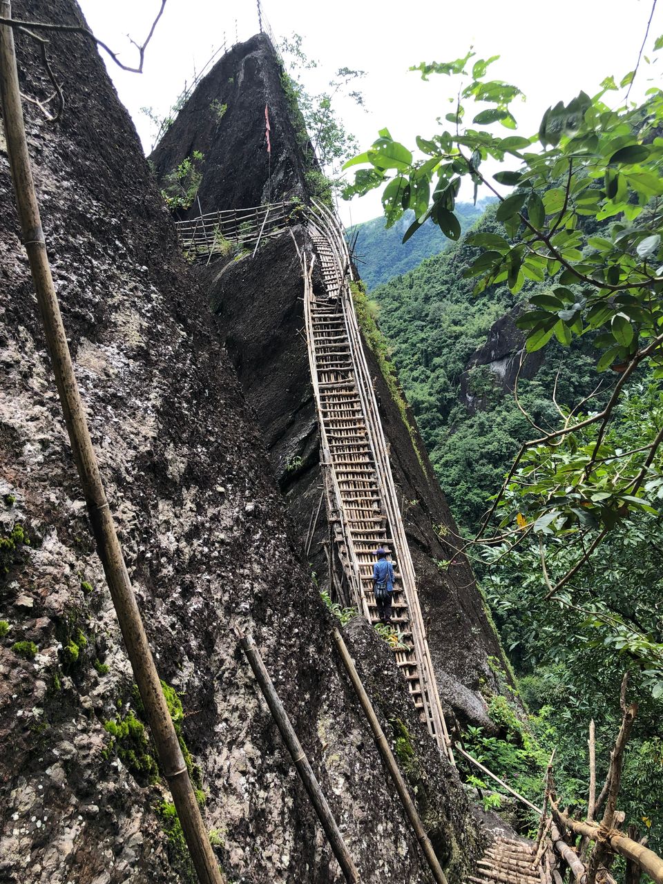 Photo of THE DEADLIEST TREK IN MEGHALAYA (Meghalaya Diary - Part 2) by Somya Rakshit