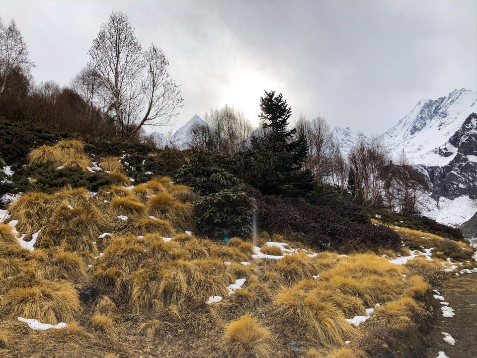 Photo of Pandavas's Five Cooking Hearth - 'Panchachuli Peaks' 6/8 by Somya Rakshit