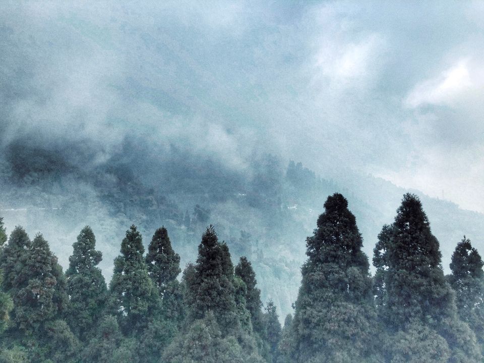 Photo of A Game of Hide and Seek with the Mt.Everest - Sandakphu Phalut Trek (Part - 1) 1/1 by Somya Rakshit