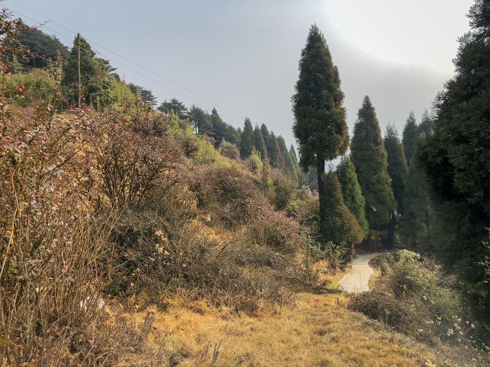 Photo of Tumling, Nepal by Somya Rakshit
