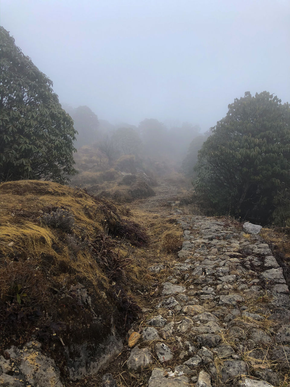 Photo of A Game of Hide and Seek with the Mt.Everest - Sandakphu Phalut Trek (Part - 1) by Somya Rakshit