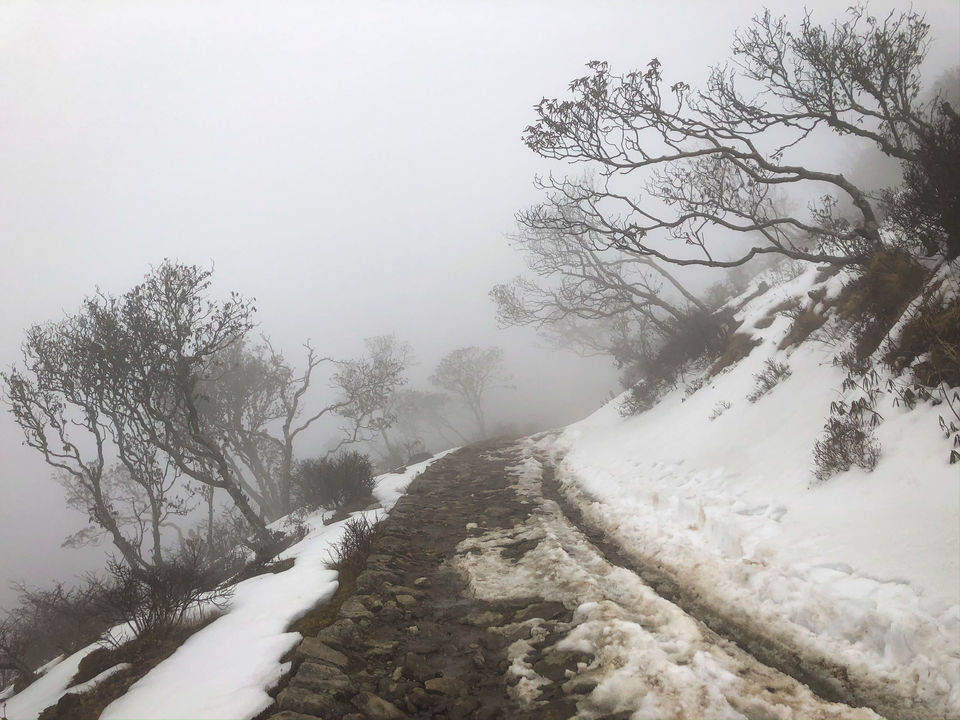 Photo of Sandakphu, Nepal by Somya Rakshit