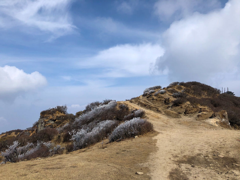 Photo of A Game of Hide and Seek with the Mt.Everest - Sandakphu Phalut Trek (Part - 1) by Somya Rakshit