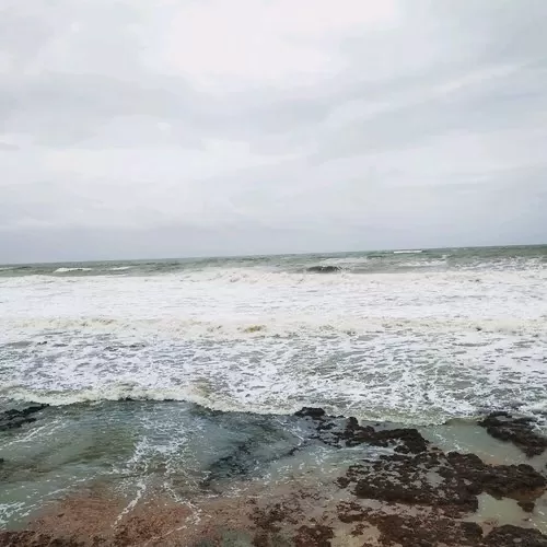 Photo of This Beachside Cafe in GOA Will Give You Major FOMO for a Workation! by Somya Rakshit
