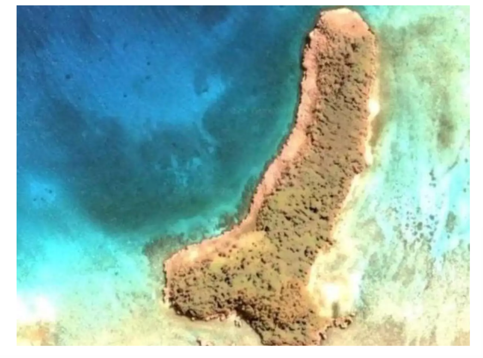 Photo of WTF did I just see! A penis-shaped island discovered in the Pacific Ocean. 1/1 by Somya Rakshit