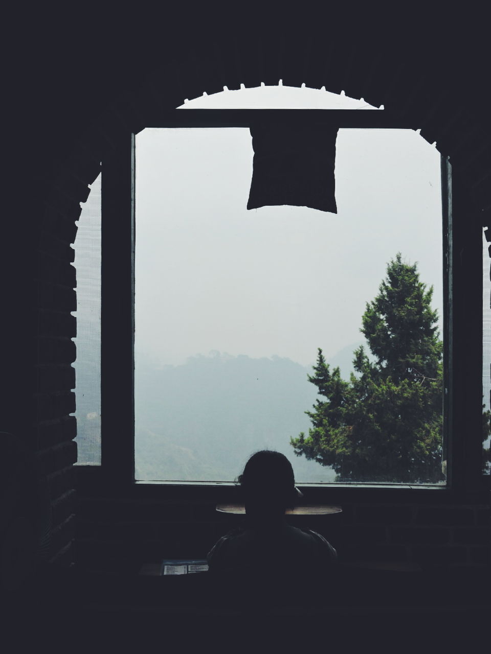Photo of Mussoorie through my lens 5/28 by Upasana