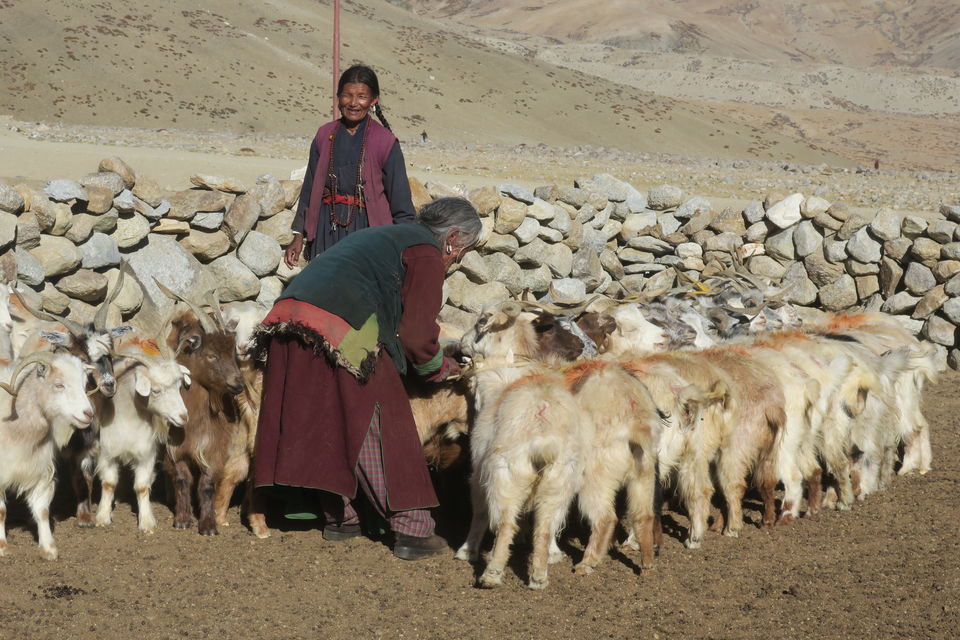 Photo of A visit to the land of Changpa Nomads and Sapphire Lakes by Adventure Sindbad