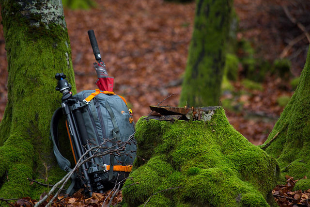 Photo of Backpack Vs. Suitcase: Which is Better and How to Know 2/3 by Aurora Chelo