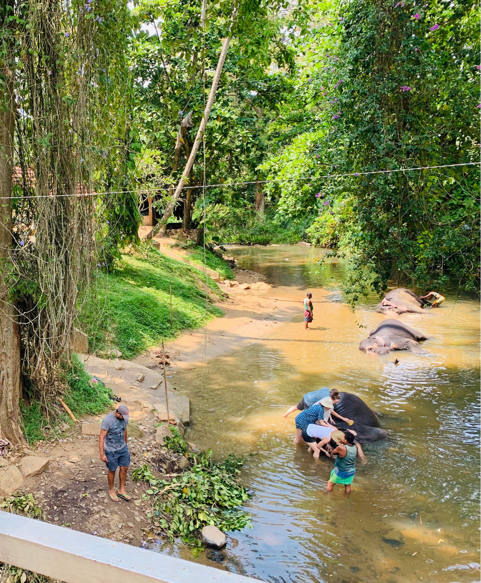Photo of Sri Lanka: A Land To Love by Samruddhi Salunke