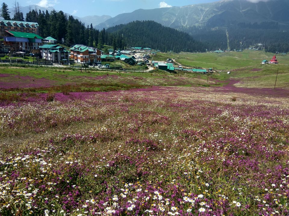 Photo of Kashmir - Gar firdaus bar-rue zamin ast, hami asto, hamin asto, hamin ast. by Keerti