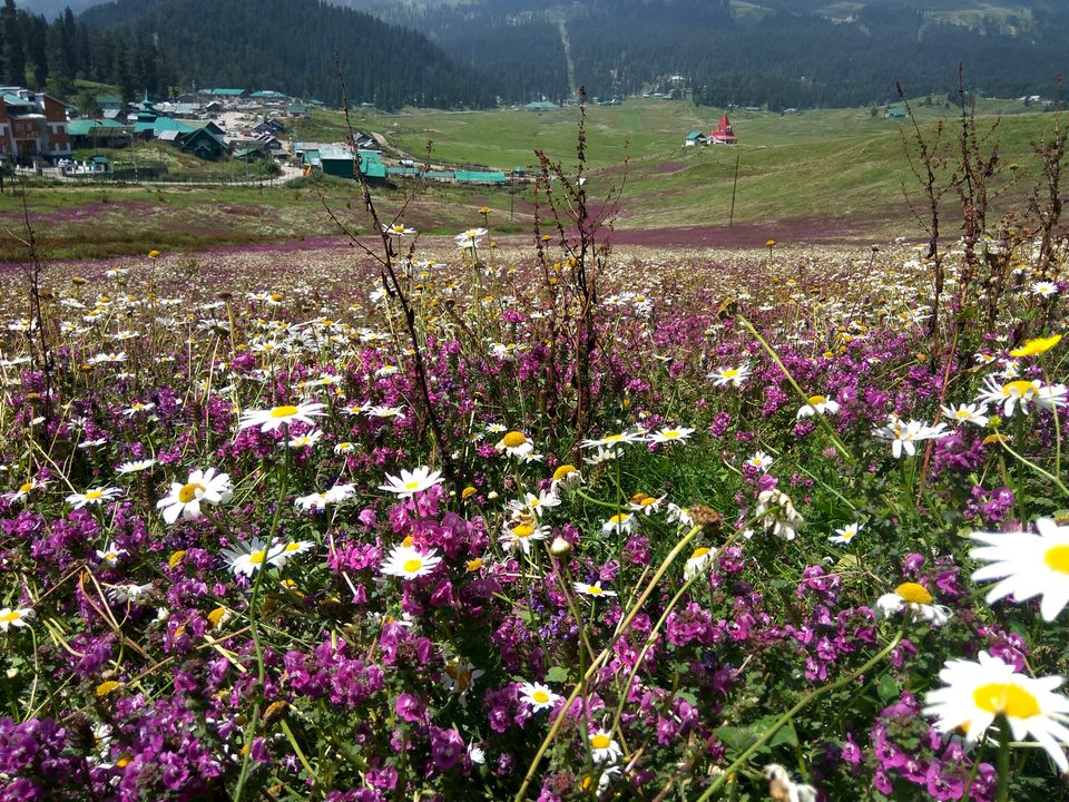 Photo of Kashmir - Gar firdaus bar-rue zamin ast, hami asto, hamin asto, hamin ast. by Keerti