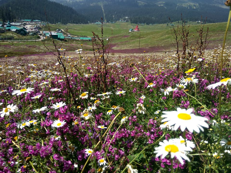 Photo of Kashmir - Gar firdaus bar-rue zamin ast, hami asto, hamin asto, hamin ast. by Keerti