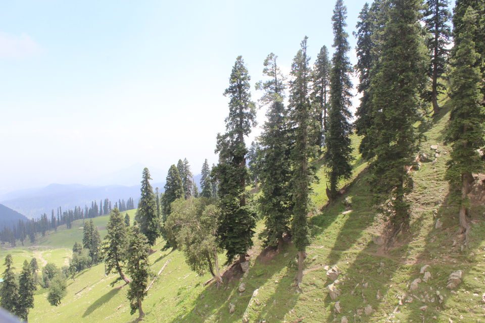 Photo of Kashmir - Gar firdaus bar-rue zamin ast, hami asto, hamin asto, hamin ast. by Keerti