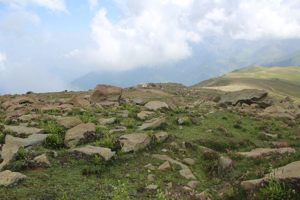 Photo of Kashmir - Gar firdaus bar-rue zamin ast, hami asto, hamin asto, hamin ast. by Keerti