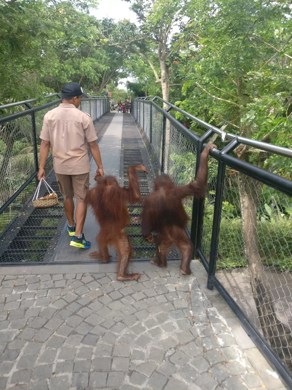 Photo of Bali Zoo, Singapadu, Gianyar, Bali, Indonesia by Anup Merkap