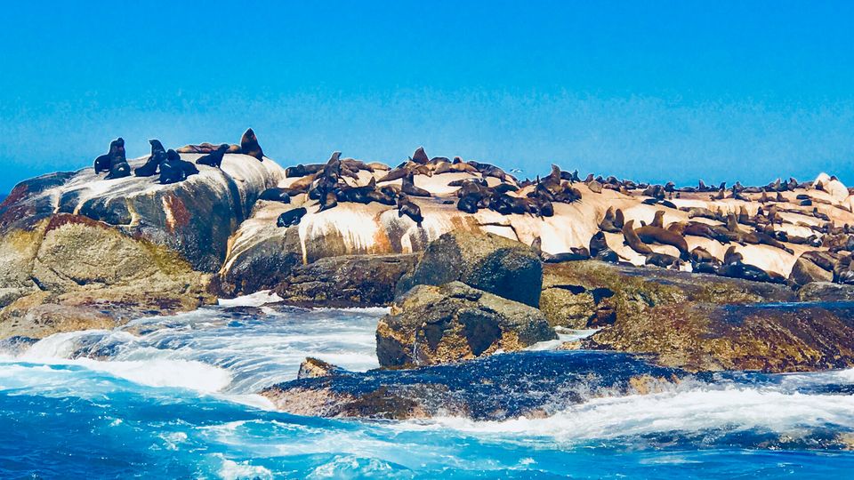 Photo of False Bay, Main, Muizenberg, Cape Town, South Africa by Fernweh