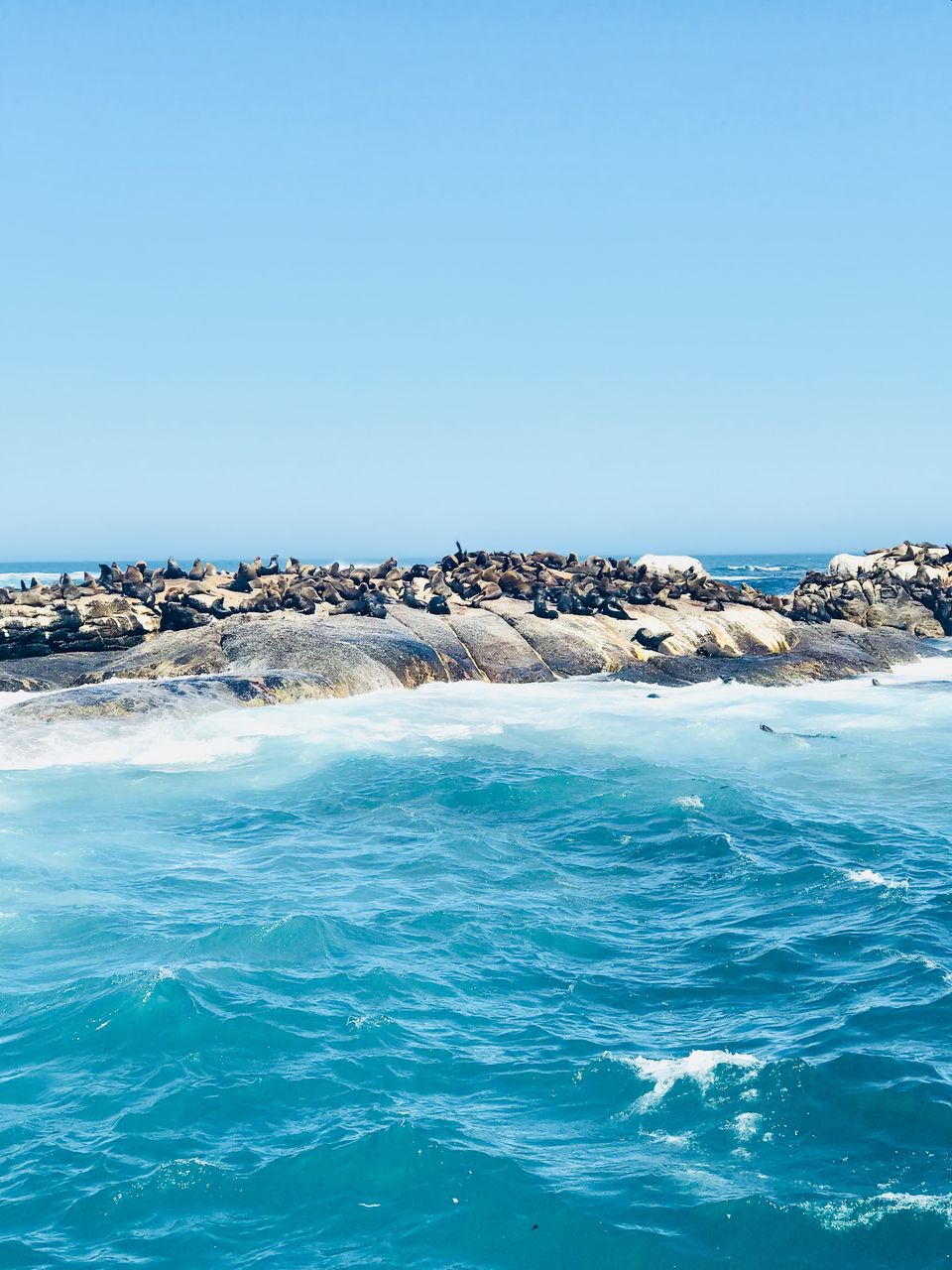 Photo of Table View, Cape Town, South Africa by Fernweh