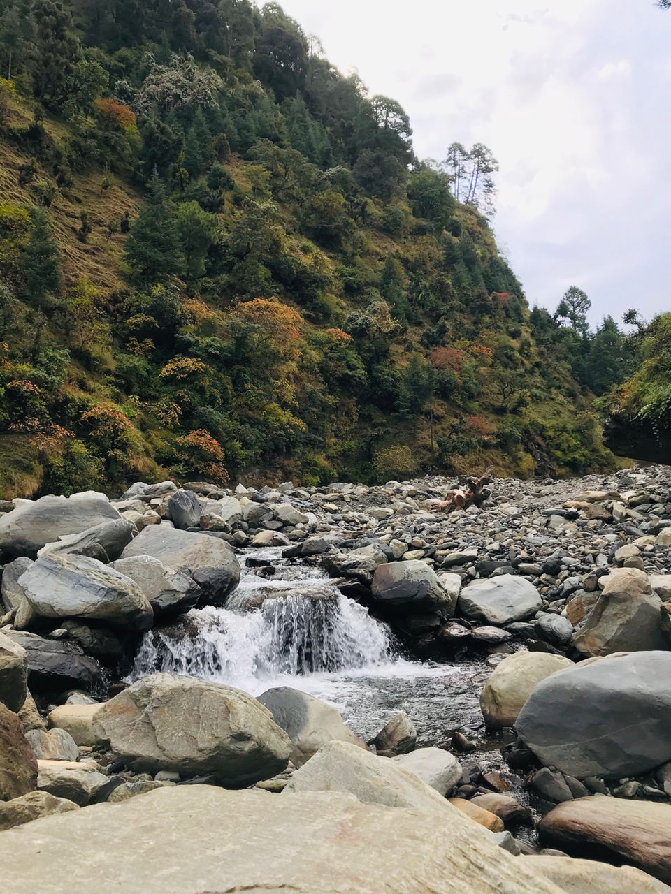 Photo of Parashar Lake:Serene and Beautiful by Arpit Verma