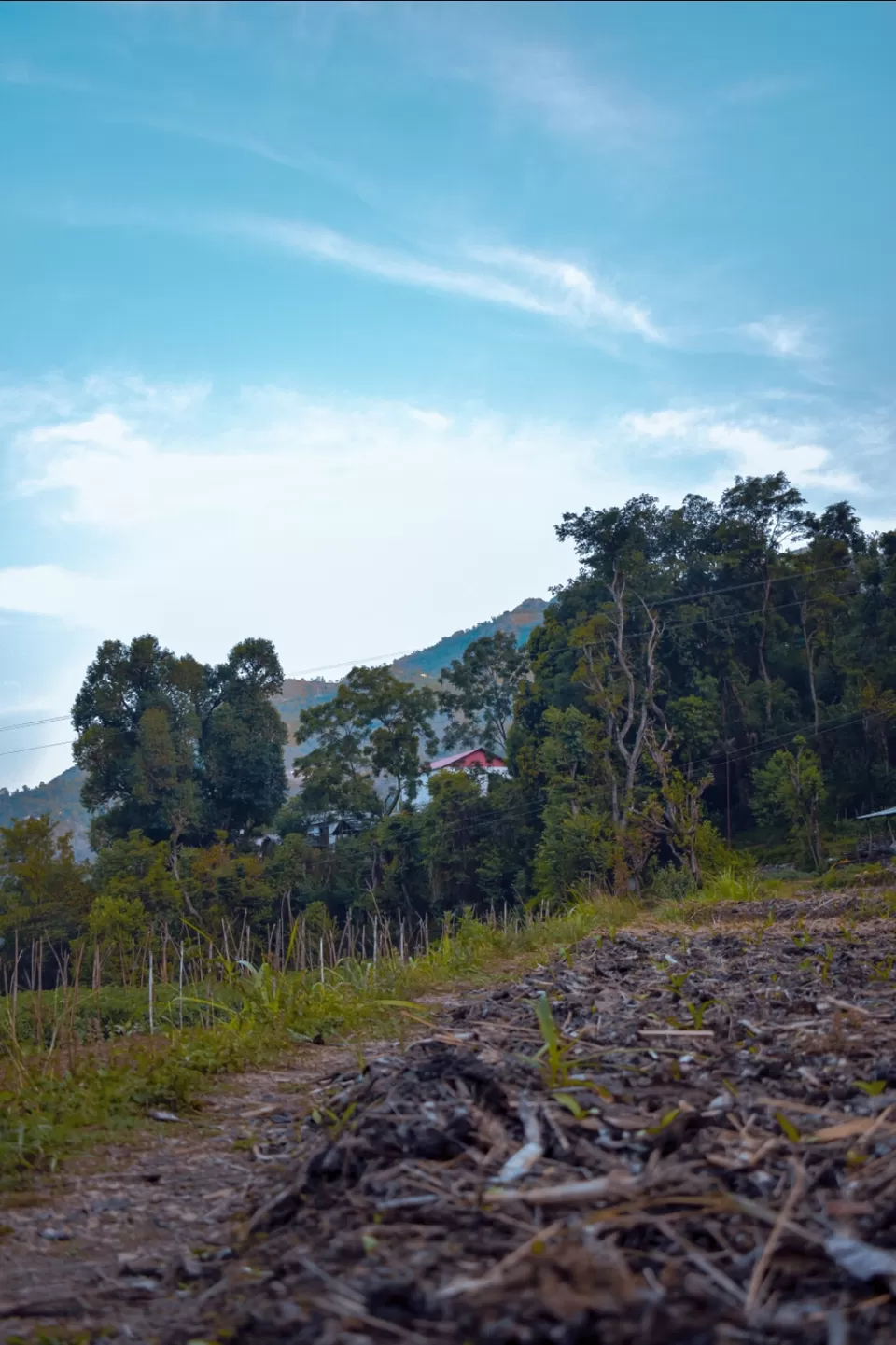 Photo of Renuka Ji by Rachit Sharma