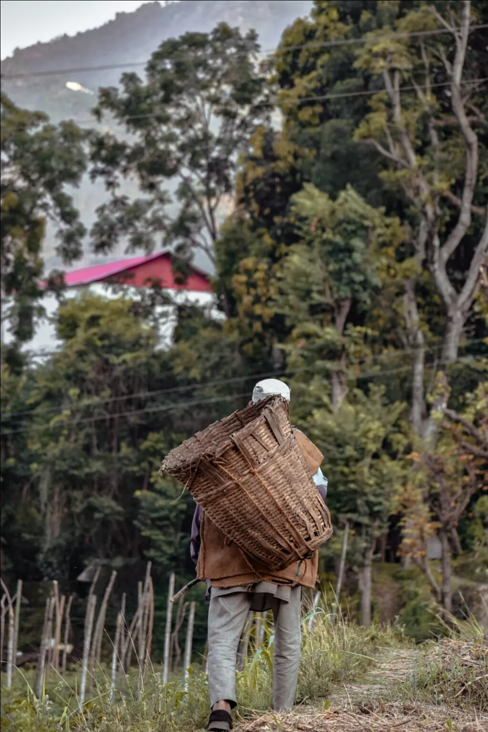 Photo of Renuka Ji by Rachit Sharma