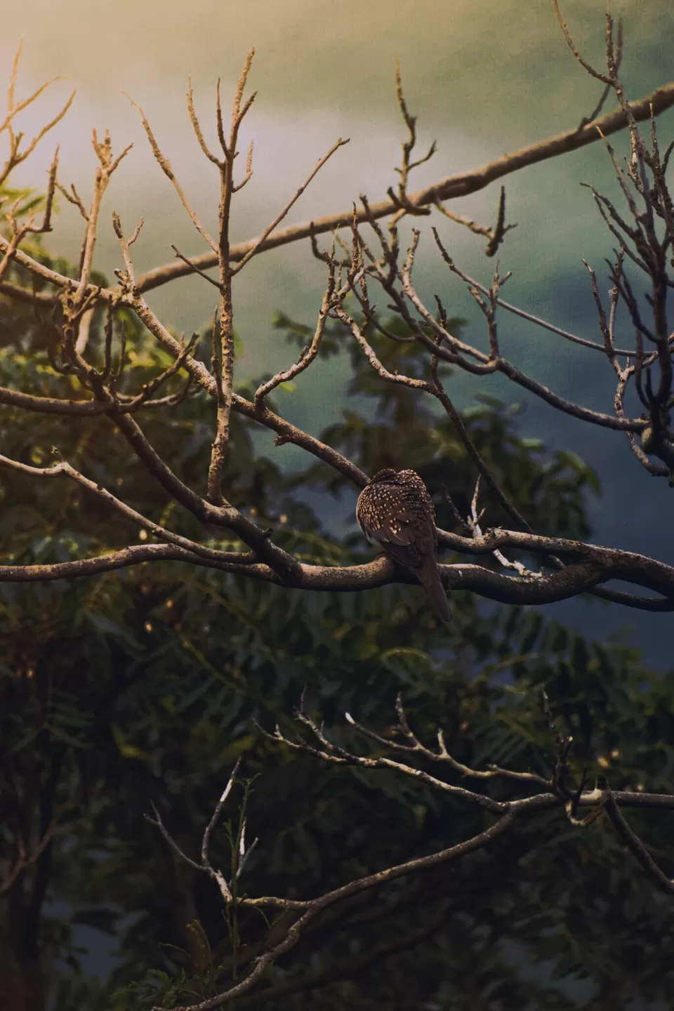 Photo of Mera Gaoon.. by Rachit Sharma