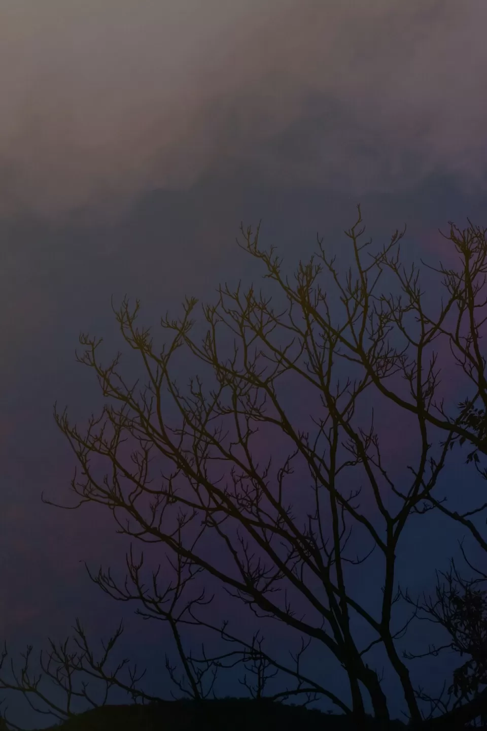 Photo of Mera Gaoon.. by Rachit Sharma