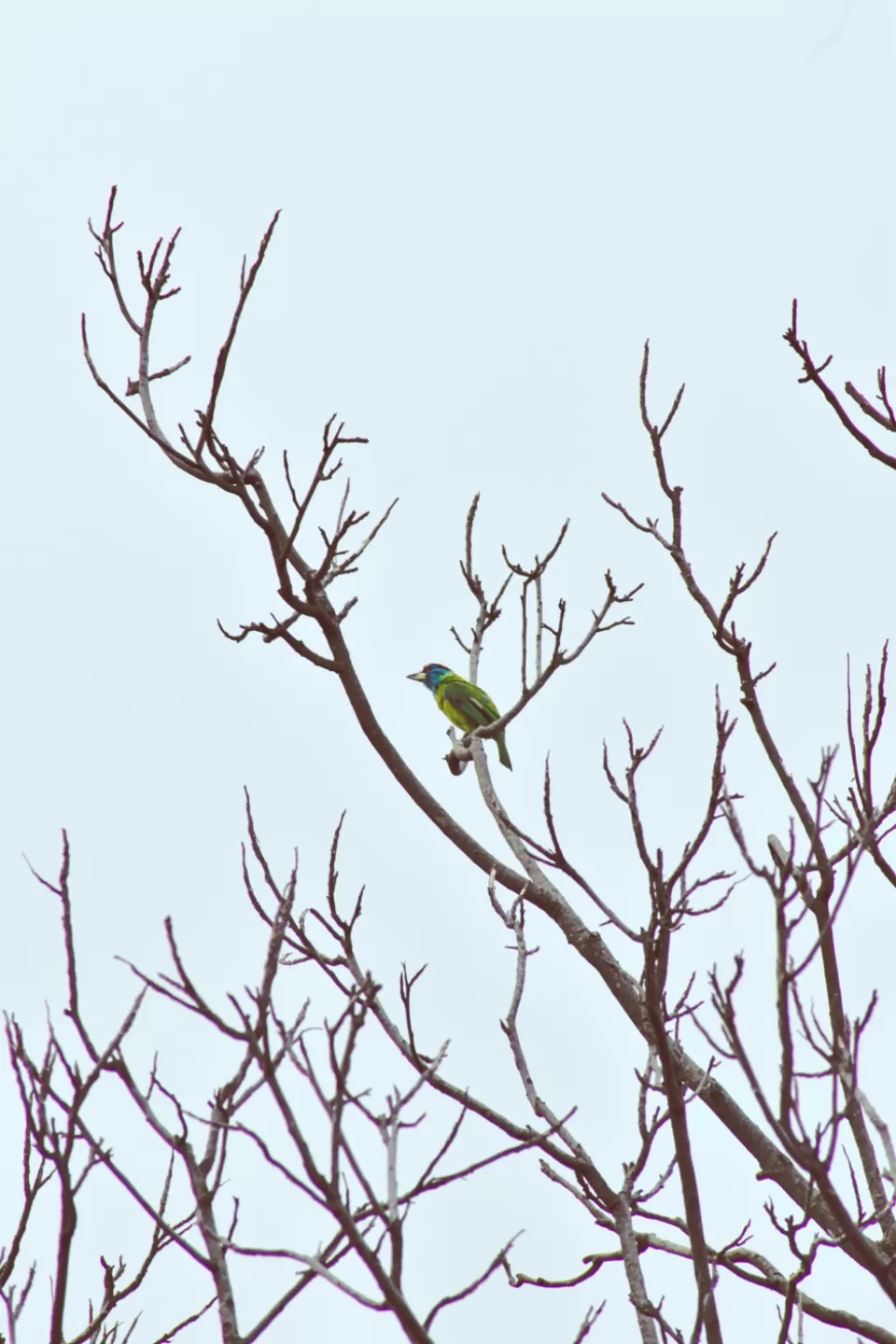 Photo of Mera Gaoon.. by Rachit Sharma