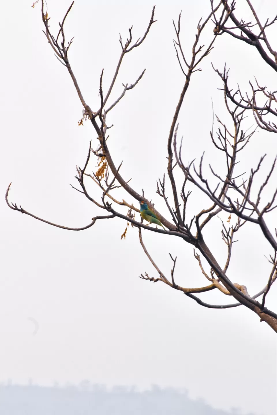 Photo of Mera Gaoon.. by Rachit Sharma