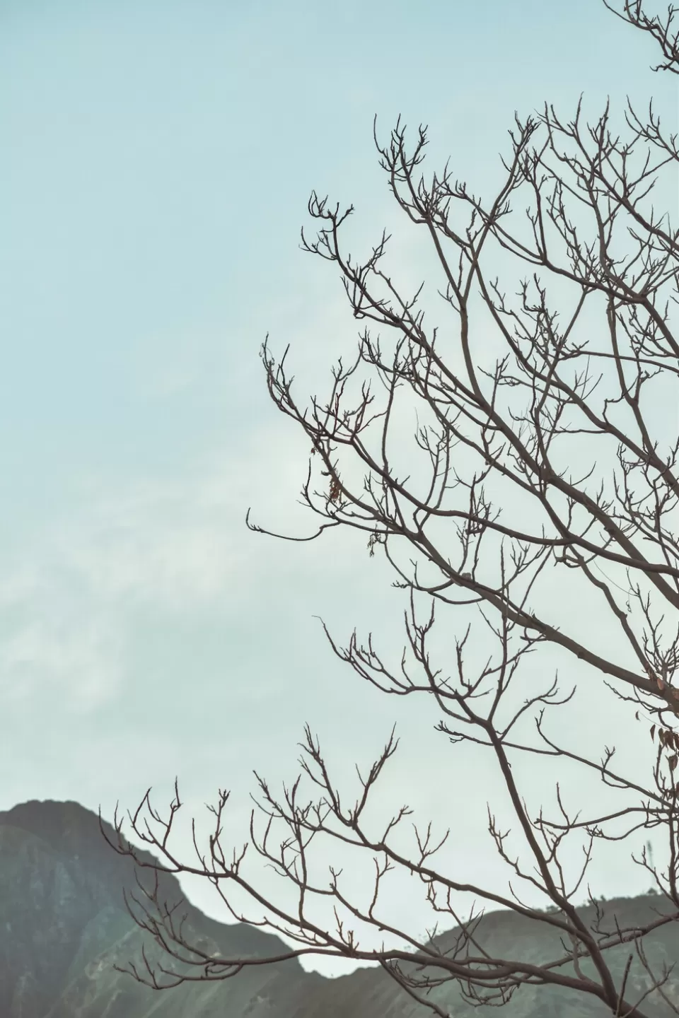 Photo of Mera Gaoon.. by Rachit Sharma