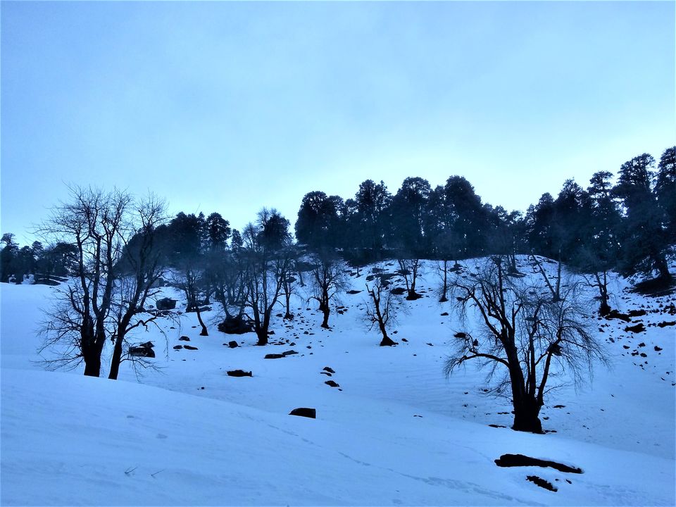 Photo of Chanderkhani Pass Trek- A snowy tale from Manali!!! by Soumyapratim Bera