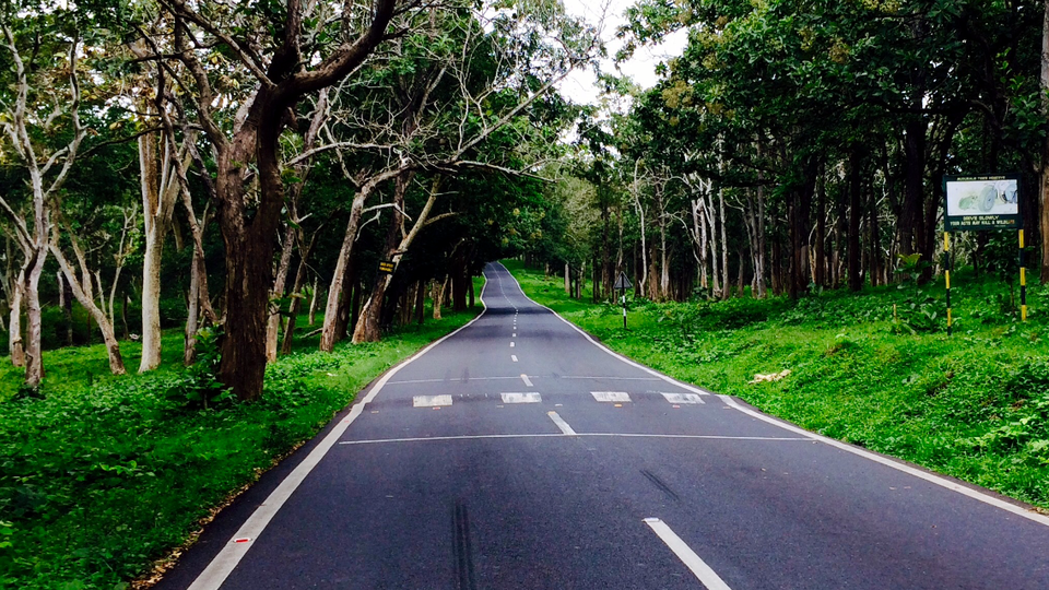 Photo of OOTY & CONOOR:Odyssey to misty hills by 78dayshadow