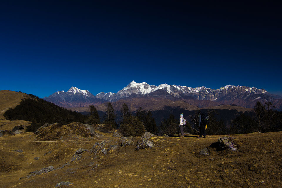 Photo of A spectacular Himalayan winter trek--Brahmatal 1/21 by Tirthankar Ghosh