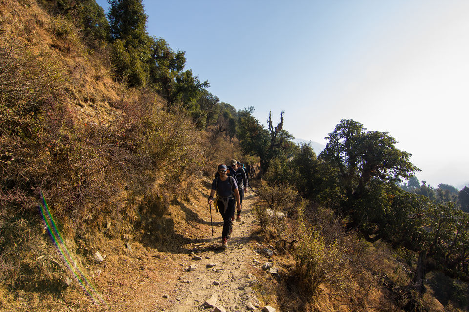 Photo of A spectacular Himalayan winter trek--Brahmatal 2/21 by Tirthankar Ghosh