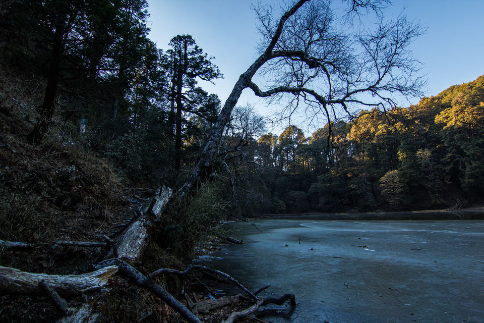 Photo of A spectacular Himalayan winter trek--Brahmatal 6/21 by Tirthankar Ghosh