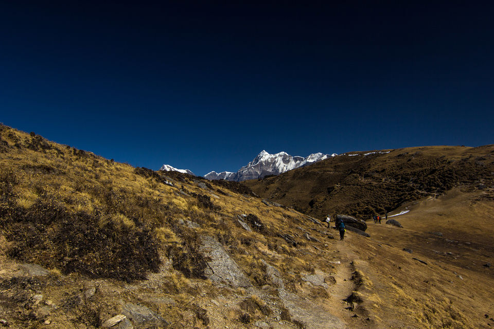 Photo of A spectacular Himalayan winter trek--Brahmatal 12/21 by Tirthankar Ghosh