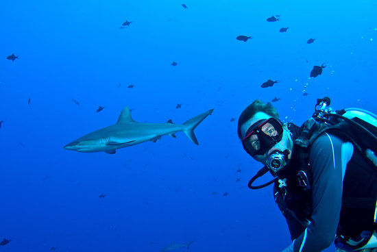 Photo of Scuba Diving in Palau Micronesia 1/2 by Charlie Chandra