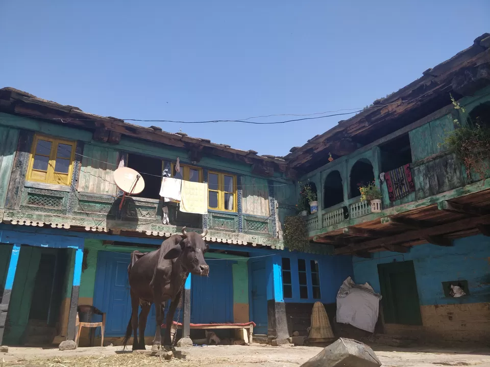 Photo of Treks and musings amid hills of Himachal by Sushmita Arora