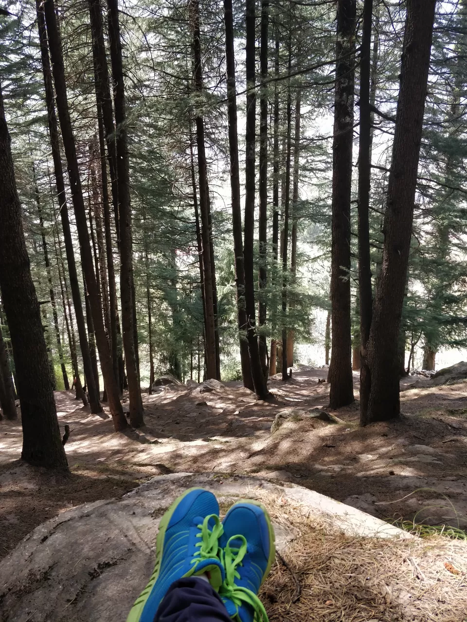 Photo of Treks and musings amid hills of Himachal by Sushmita Arora
