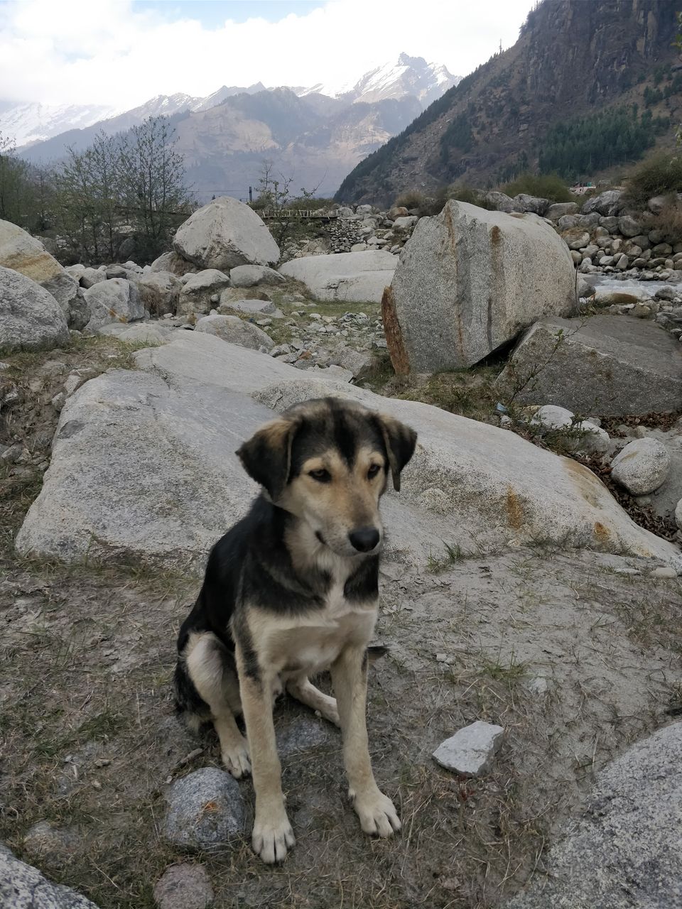 Photo of Treks and musings amid hills of Himachal 2/2 by Sushmita Arora