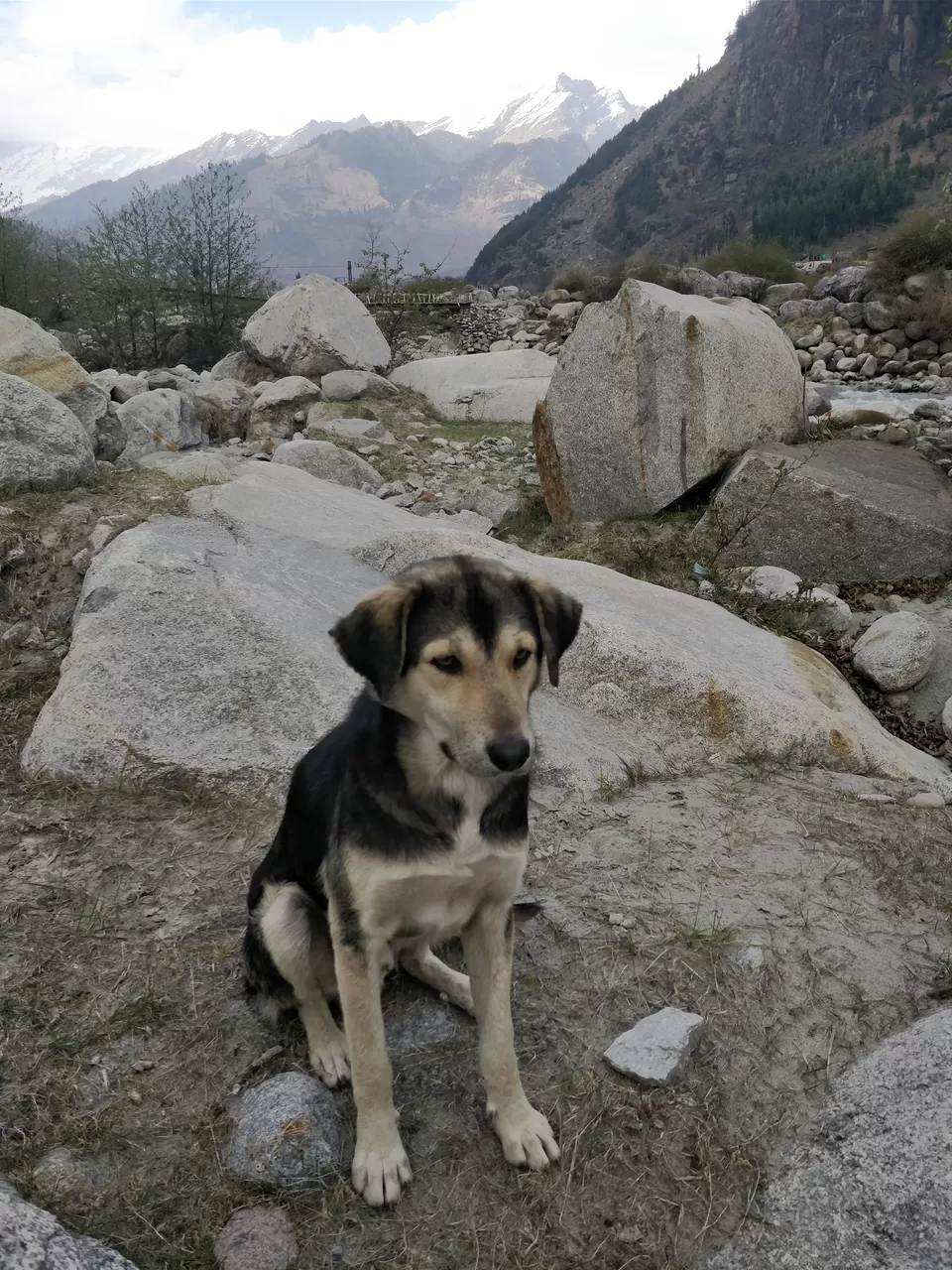 Photo of Treks and musings amid hills of Himachal by Sushmita Arora