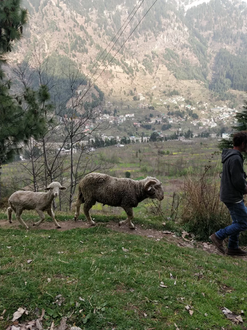 Photo of Treks and musings amid hills of Himachal by Sushmita Arora