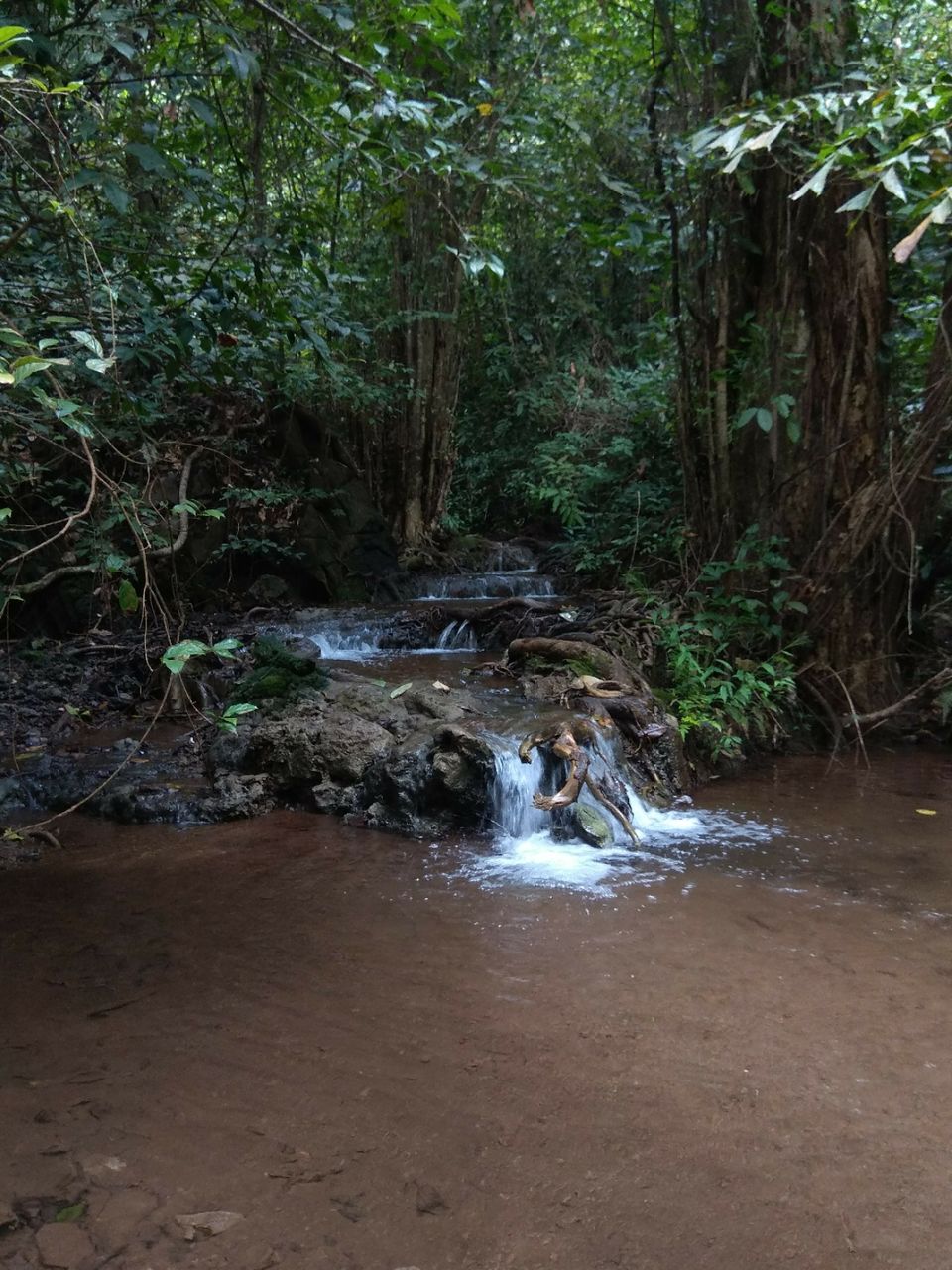 Photo of Yana Caves, Yana, Karnataka by Naveen Prabhu