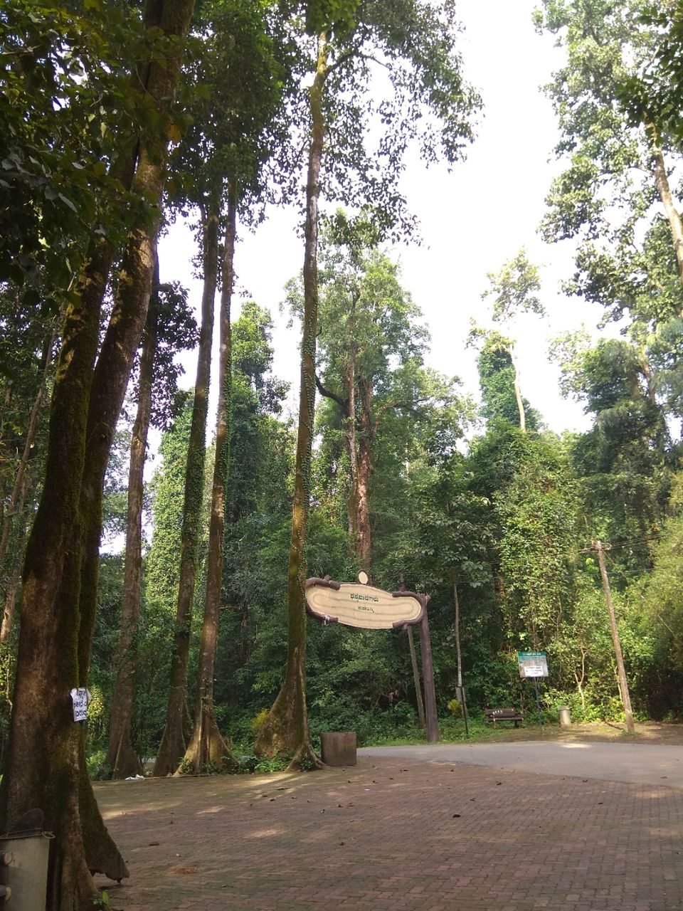 Photo of Yana Caves, Yana, Karnataka by Naveen Prabhu