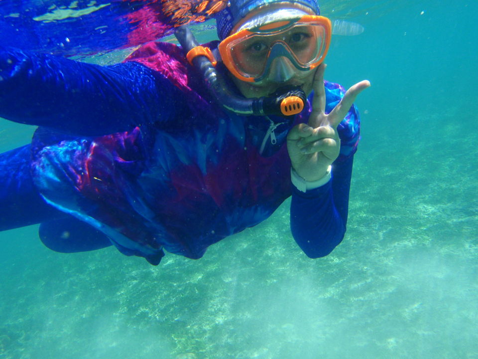 Under The Sea: Snorkeling With Jelly Fish In Lombo - Tripoto